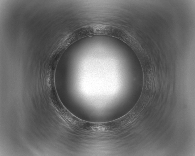 X0000059090698200510101145