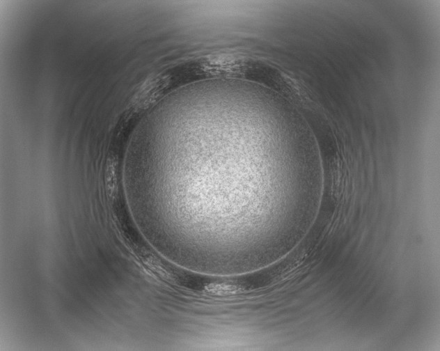 X0000059090699200510101145