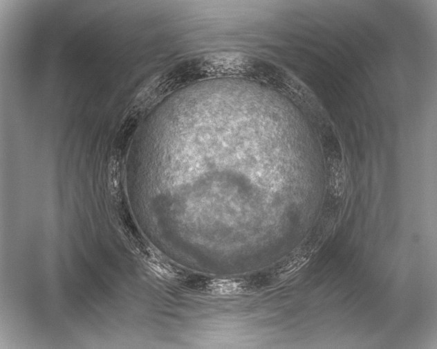 X0000059090701200510101145