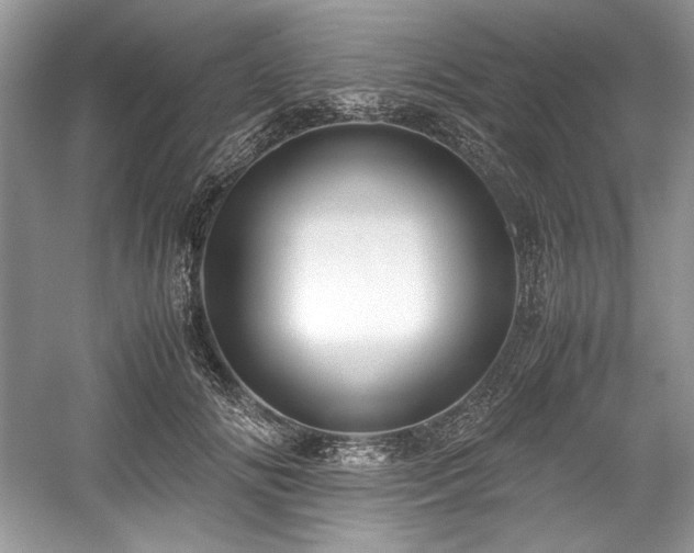 X0000059090702200510101145