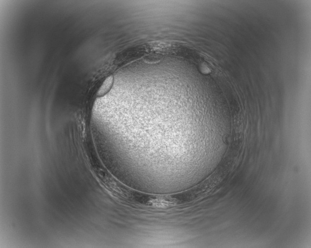 X0000059090703200510101144