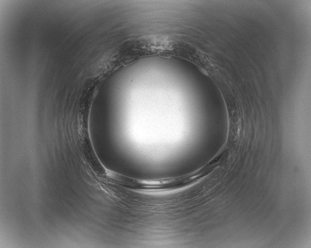 X0000059090704200510101144