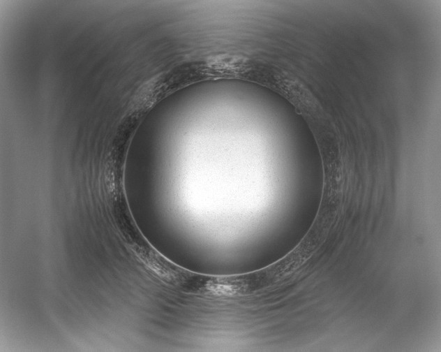 X0000059090706200510101144