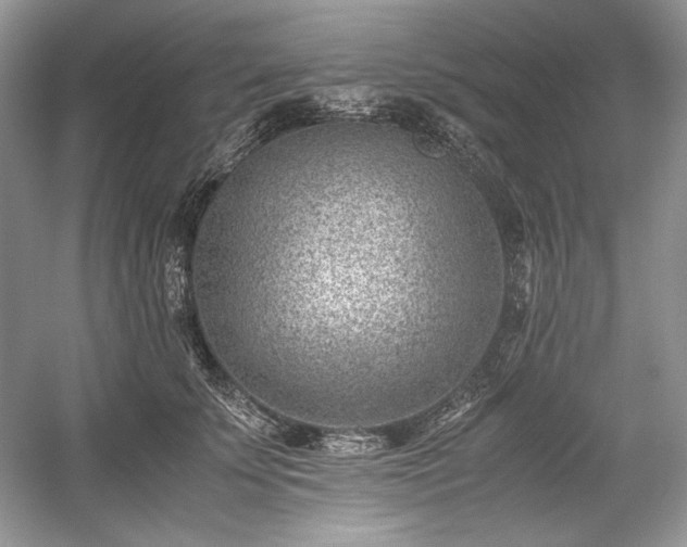 X0000059090707200510101144