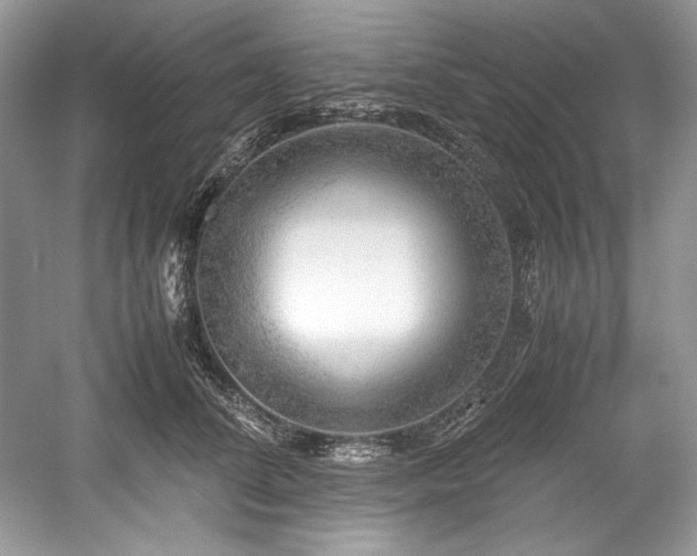 X0000059090708200510101144