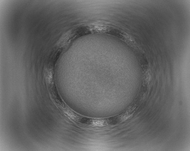 X0000059090709200510101144