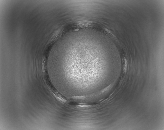 X0000059090712200510101144