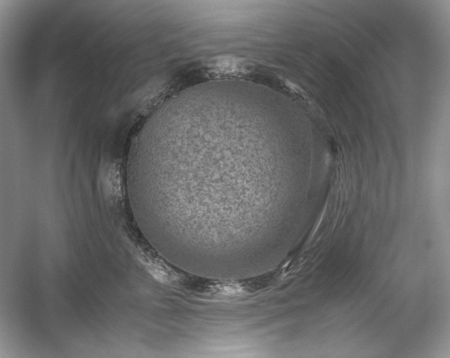 X0000059090715200510101144