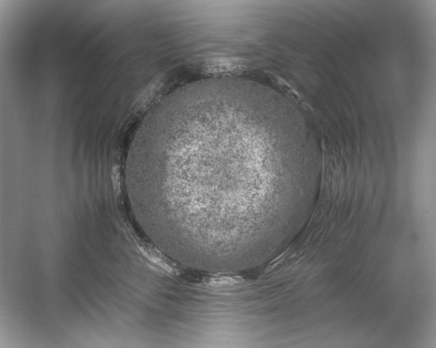 X0000059090716200510101144