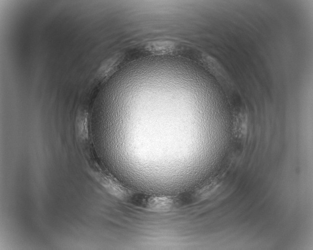 X0000059090717200510101144