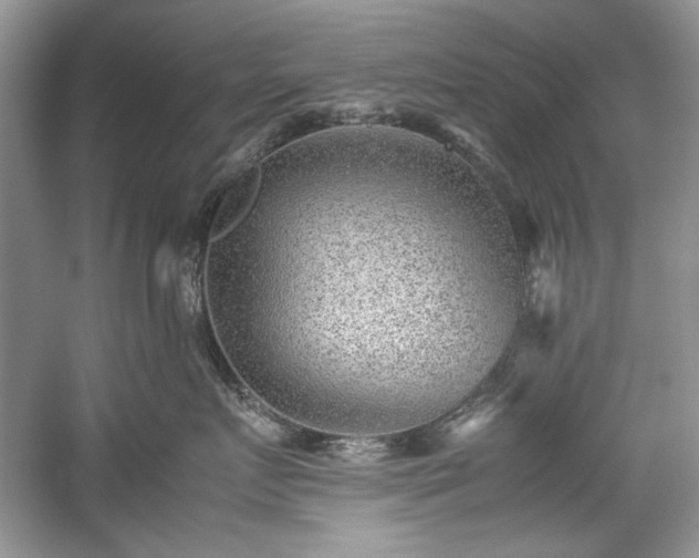 X0000059090719200510101144