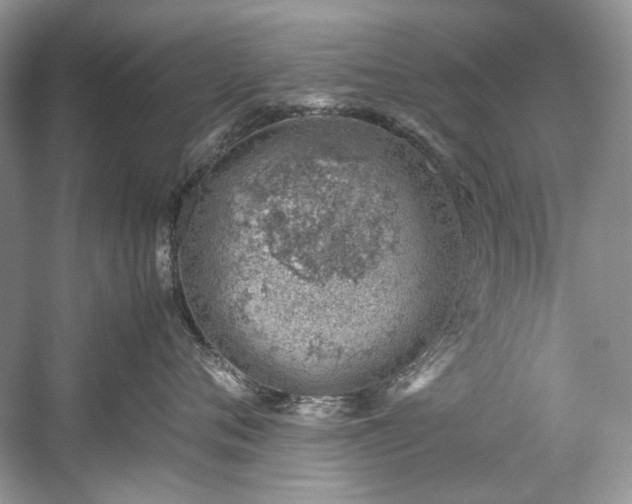 X0000059090720200510101144