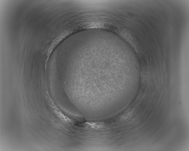 X0000059090721200510101143