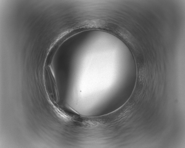 X0000059090722200510101143