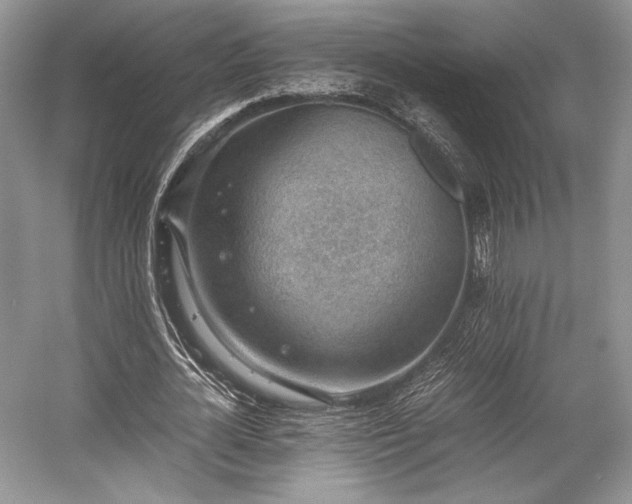 X0000059090724200510101143