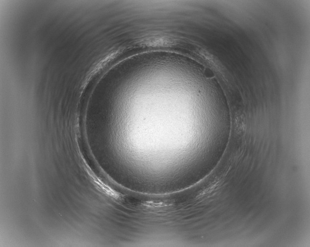 X0000059090725200510101143