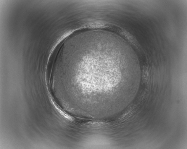 X0000059090726200510101143