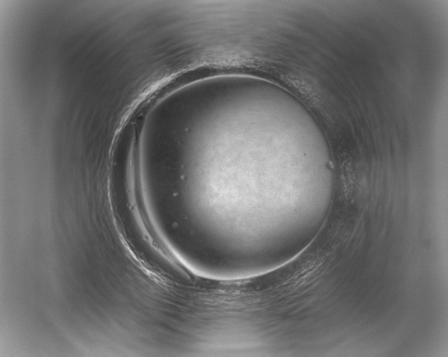 X0000059090728200510101144