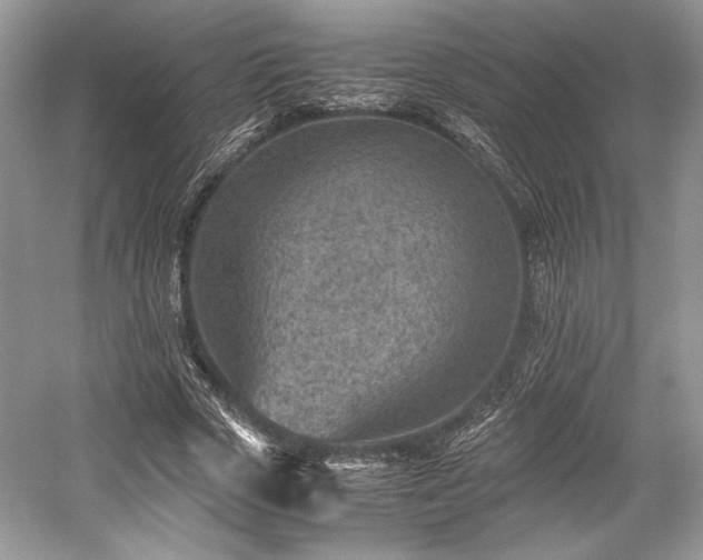 X0000059090729200510101144