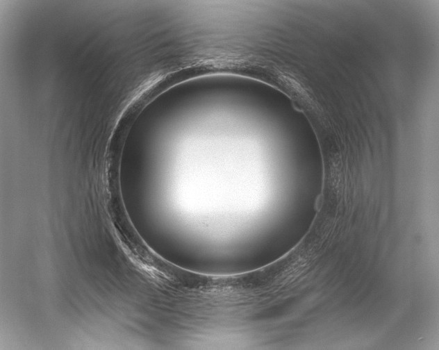 X0000059090730200510101144