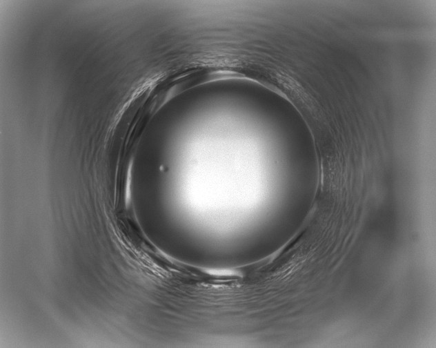 X0000059090731200510101144