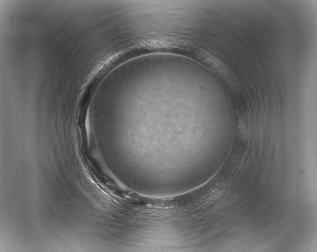 X0000059090732200510101144