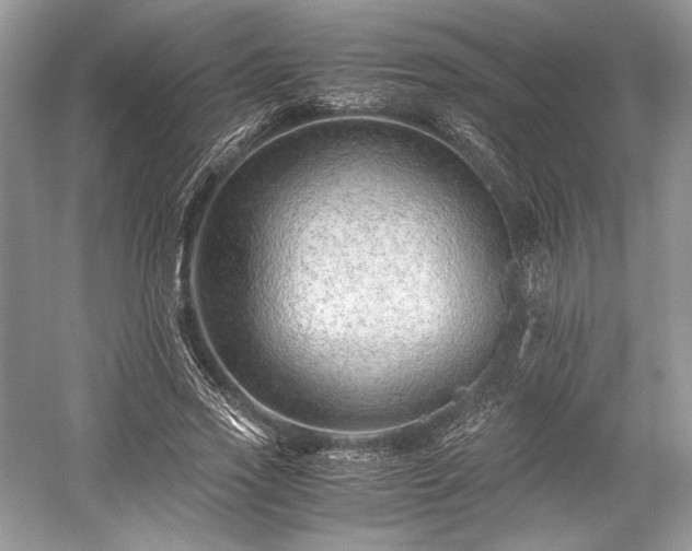 X0000059090733200510101144