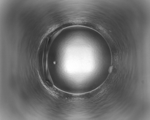 X0000059090734200510101144