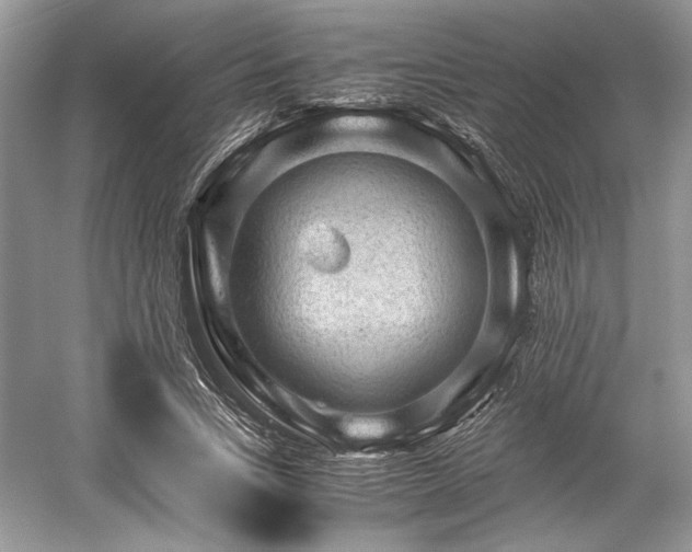 X0000059090735200510101144