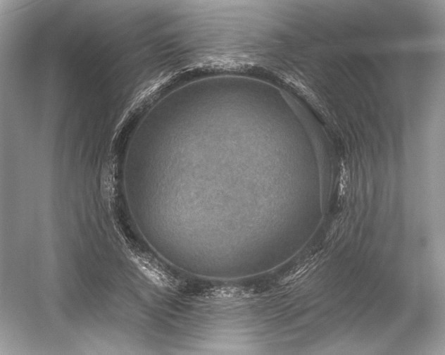 X0000059090736200510101144