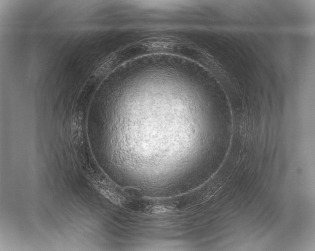 X0000059090737200510101144