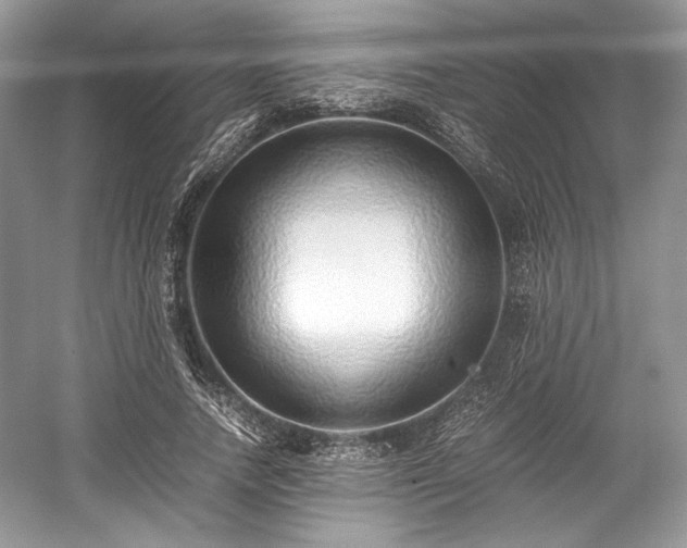 X0000059090738200510101144