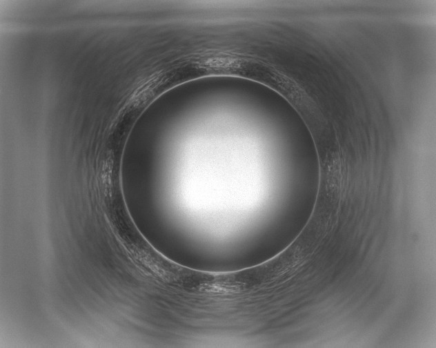 X0000059090739200510101144