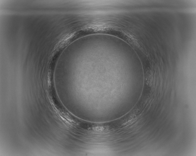 X0000059090740200510101144