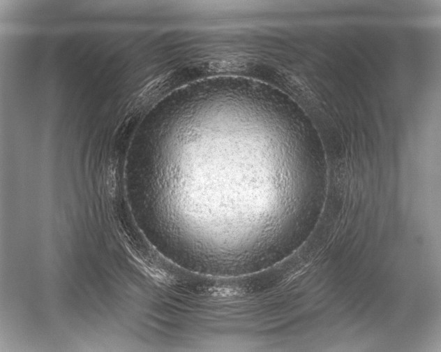 X0000059090741200510101144