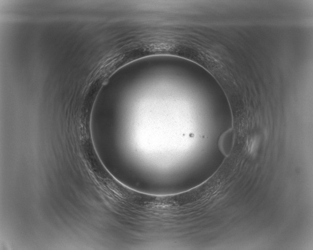 X0000059090743200510101144