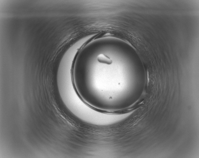 X0000059090744200510101144