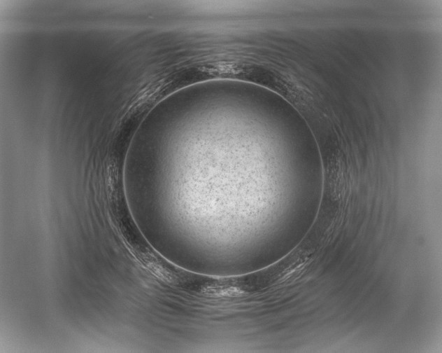 X0000059090747200510101144