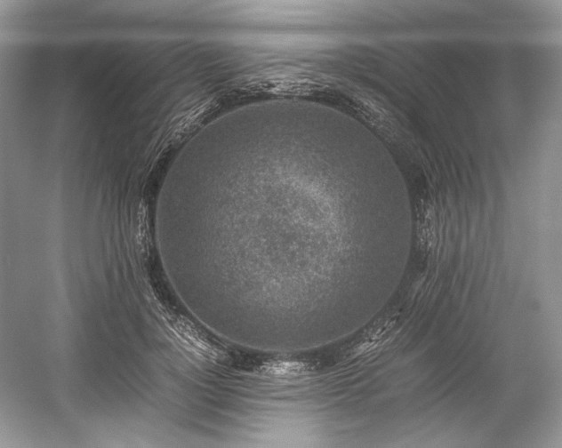 X0000059090748200510101144