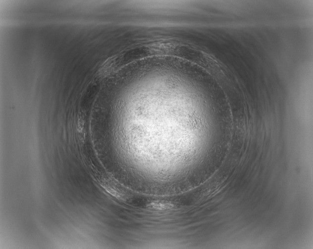 X0000059090749200510101144