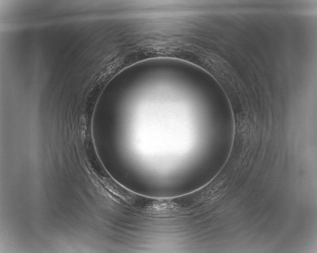 X0000059090752200510101144