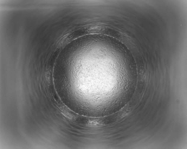 X0000059090753200510101144