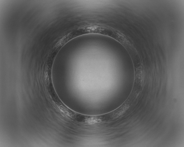 X0000059090754200510101144