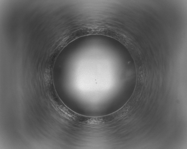 X0000059090756200510101144