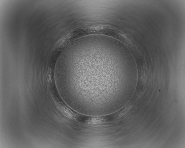 X0000059090758200510101144