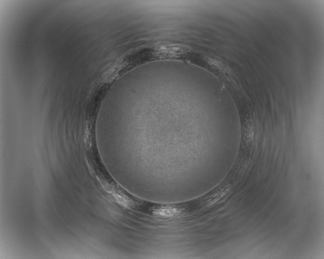 X0000059090759200510101144