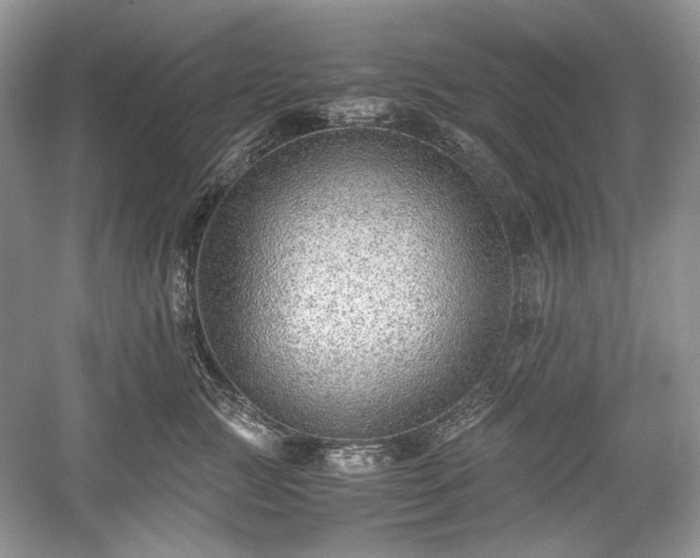 X0000059090761200510101144