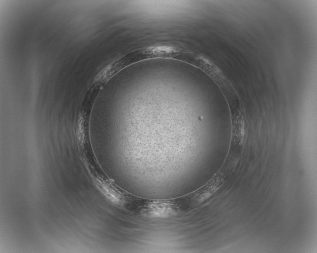 X0000059090762200510101144