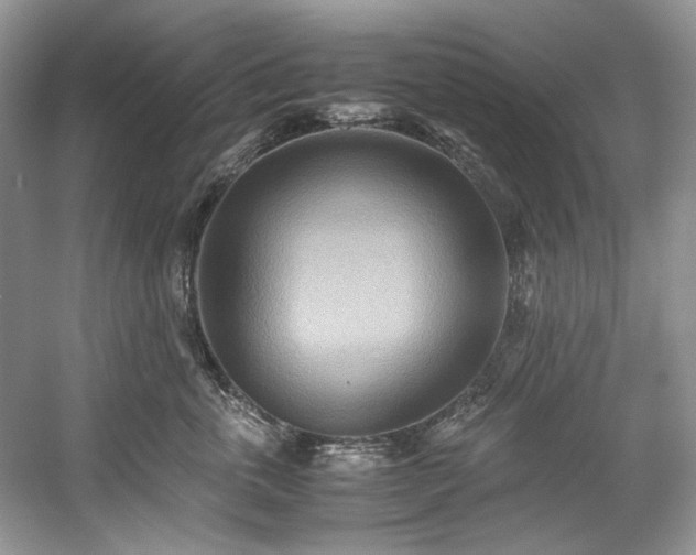 X0000059090763200510101144