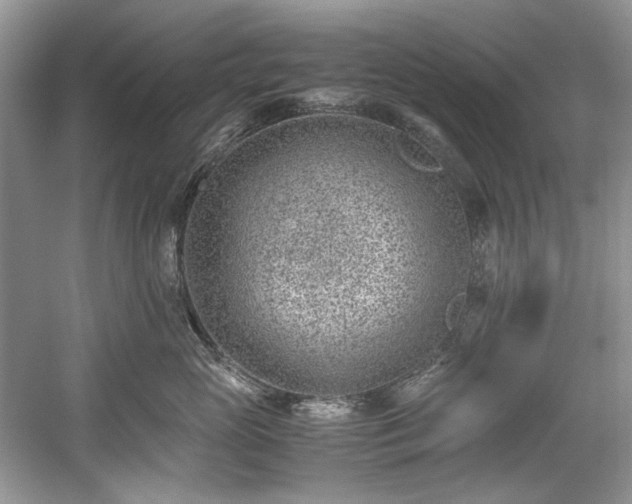 X0000059090765200510101144